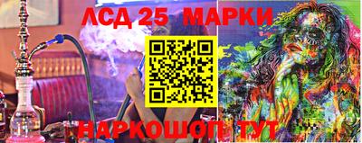 a pvp Гатчина