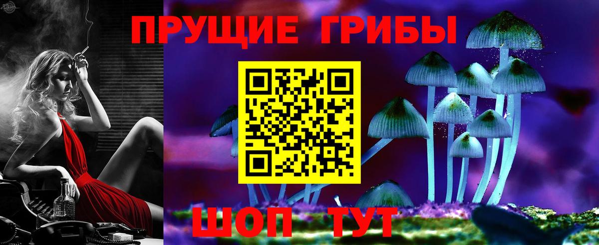 Гатчина  Псилоцибиновые грибы GOLDEN TEACHER  Вход с VPN  Псилоцибиновые грибы Psilocybine cubensis 